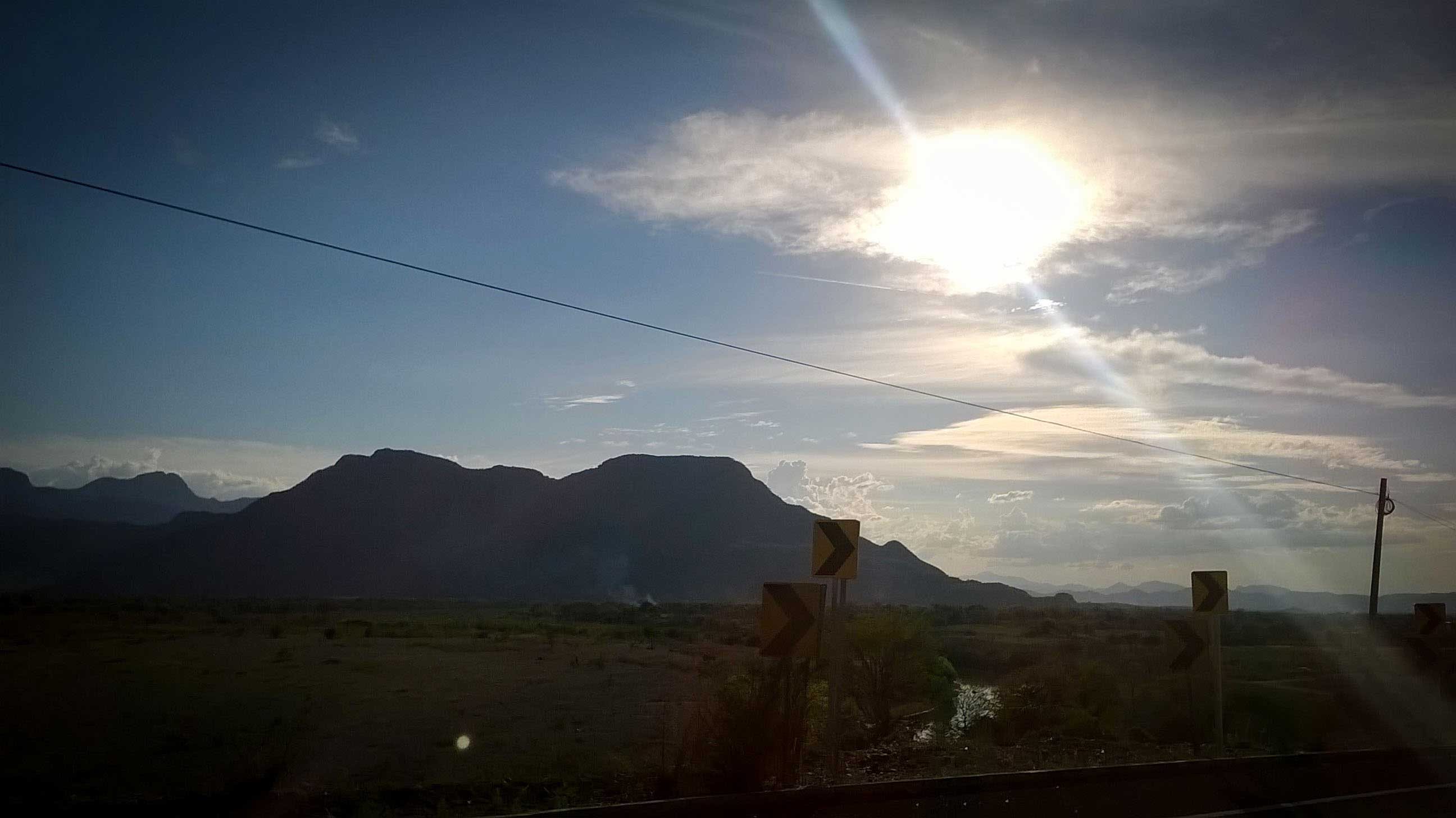 imagen de un nopal a las faldas d eun cerro.